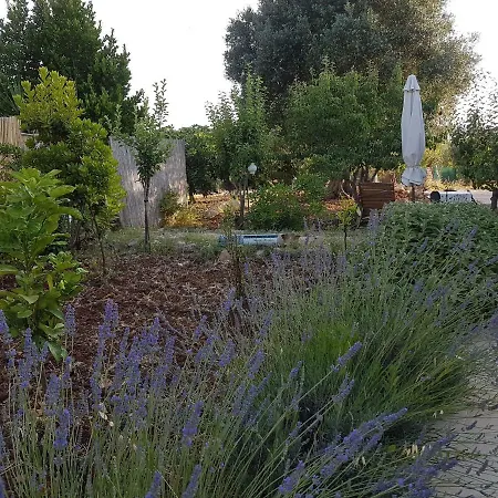 Trullo Ulivento *